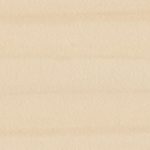 Cant Mesteacan alb   NL 2818, 3439, newedge.ro