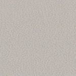 Cant Gri casmir   NU 1185, 532, newedge.ro