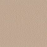 Cant Bej    NU 1229, 484, newedge.ro